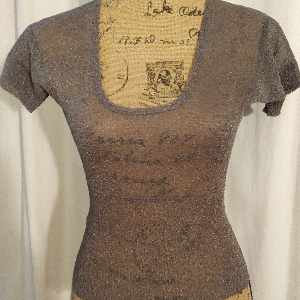 Express shimmery short sleeved light sweater